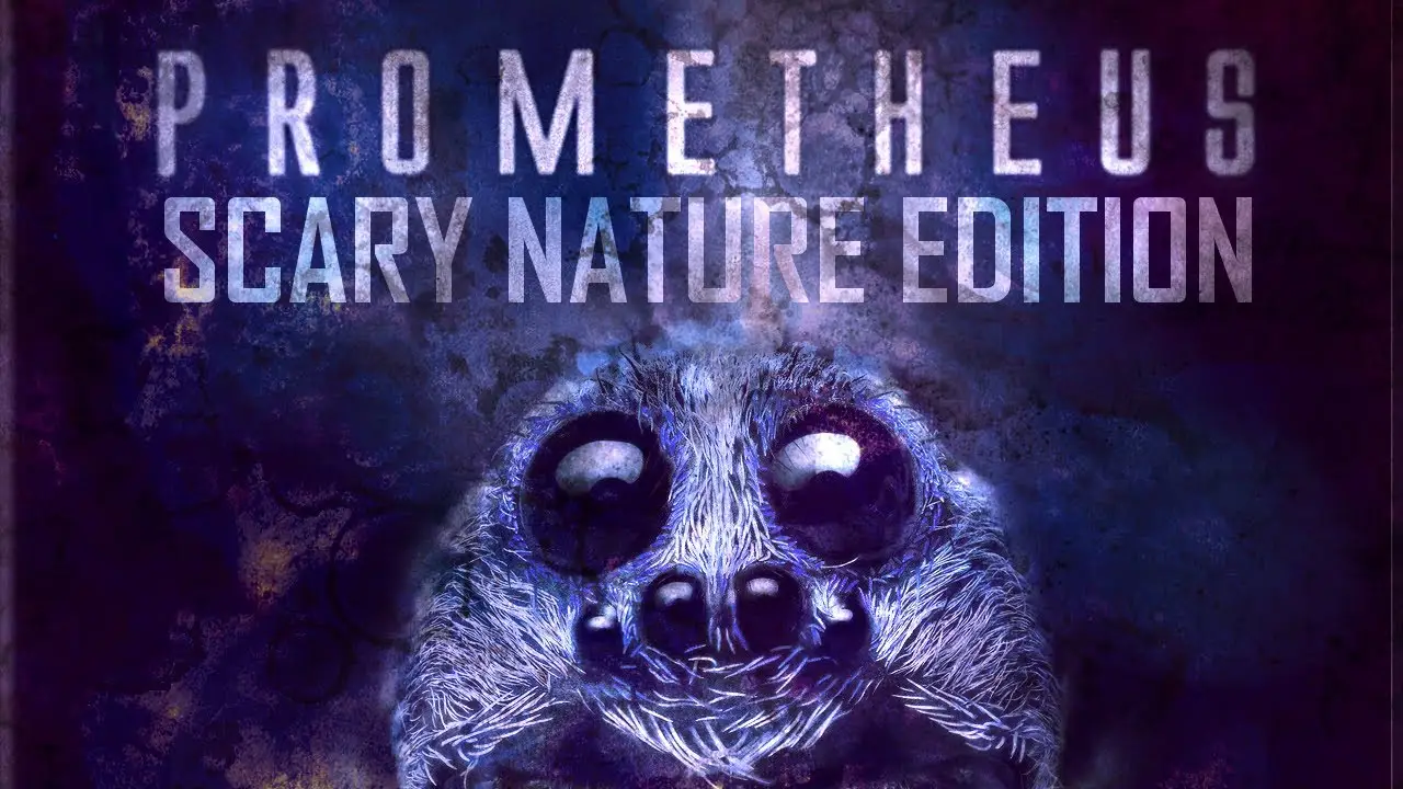 Nature — трейлер