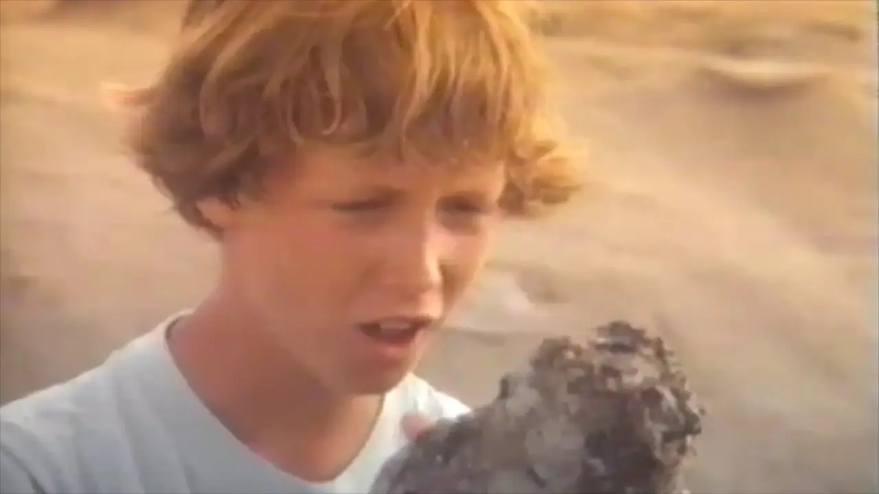The Treasure — trailer