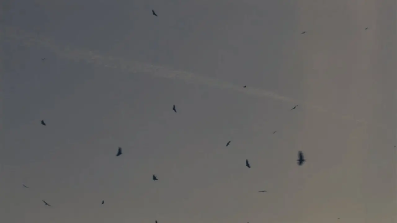 Aterro — trailer
