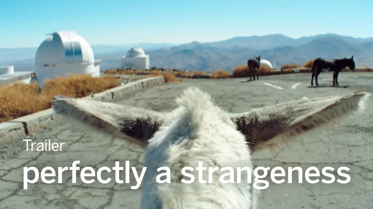 Perfectly a Strangeness — tráiler