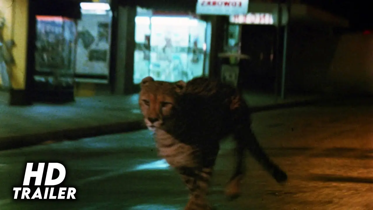 Wild Beasts — trailer
