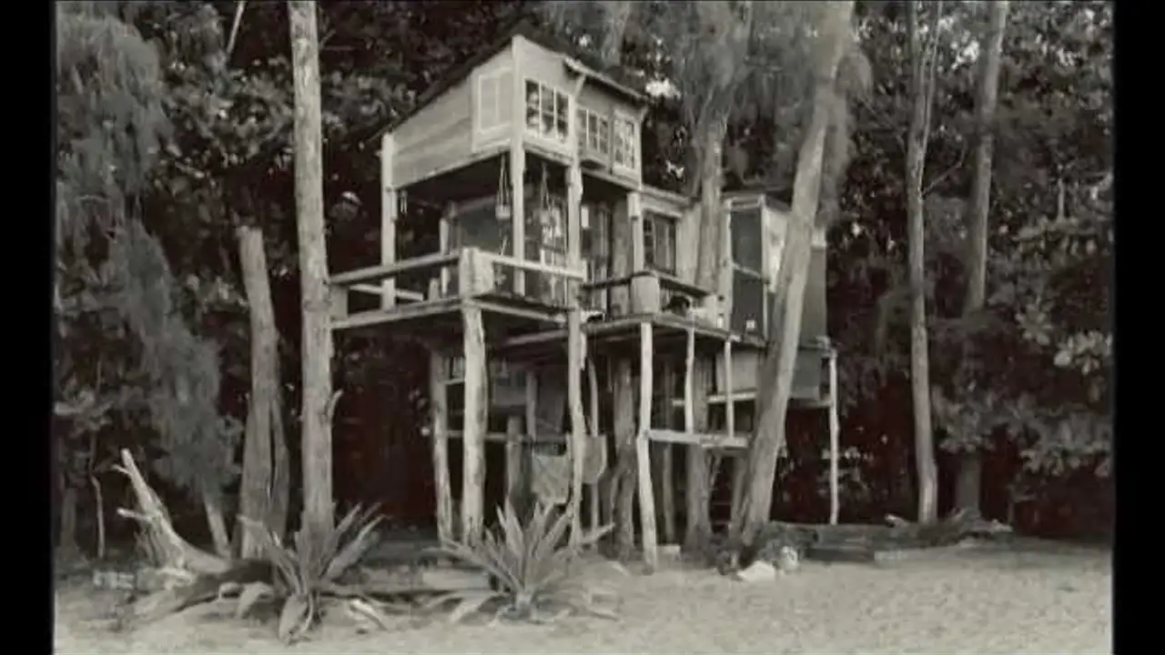 Taylor Camp — trailer