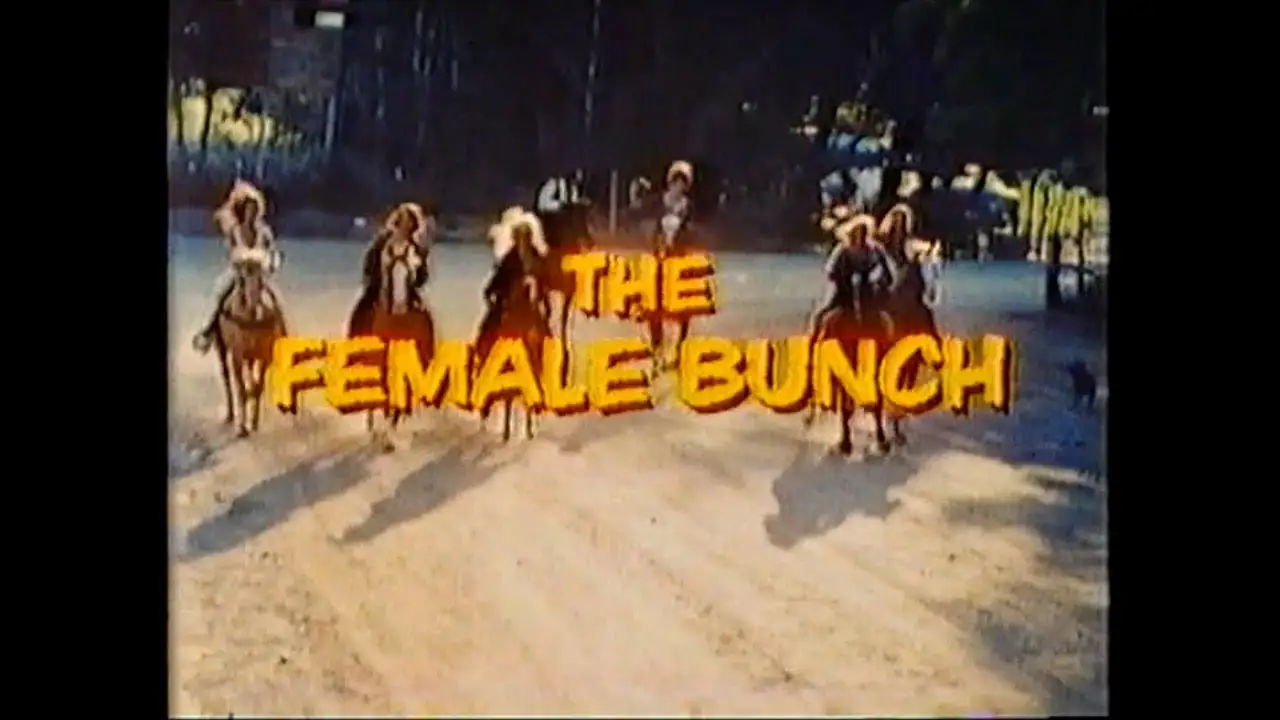 The Female Bunch — trailer