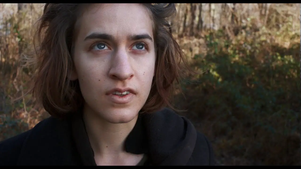 Dimland — trailer