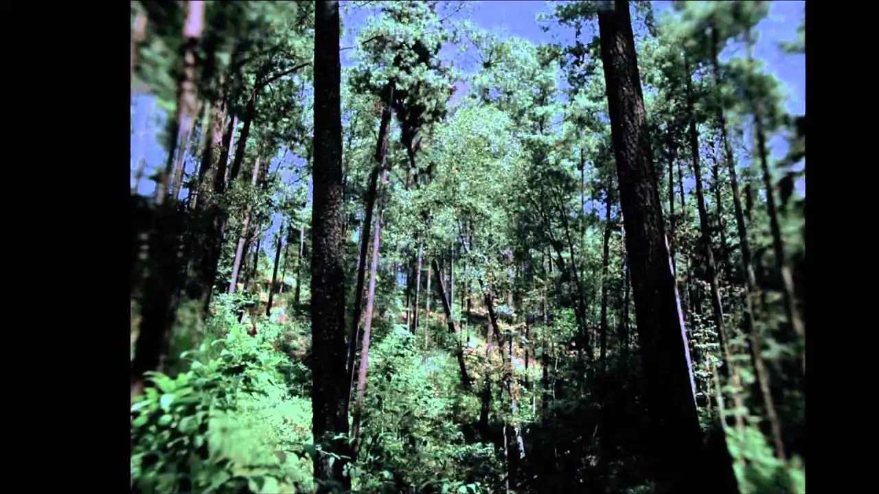 Post Tenebras Lux — trailer