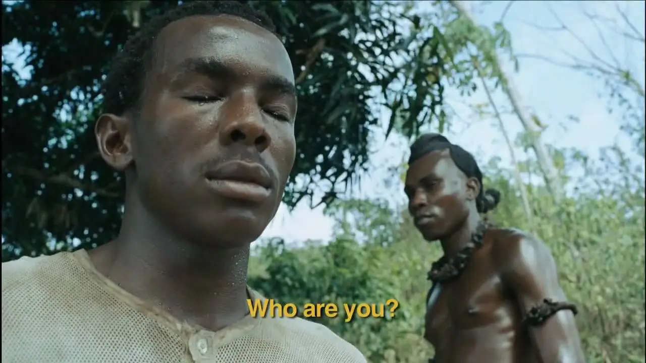 The Assailant — trailer
