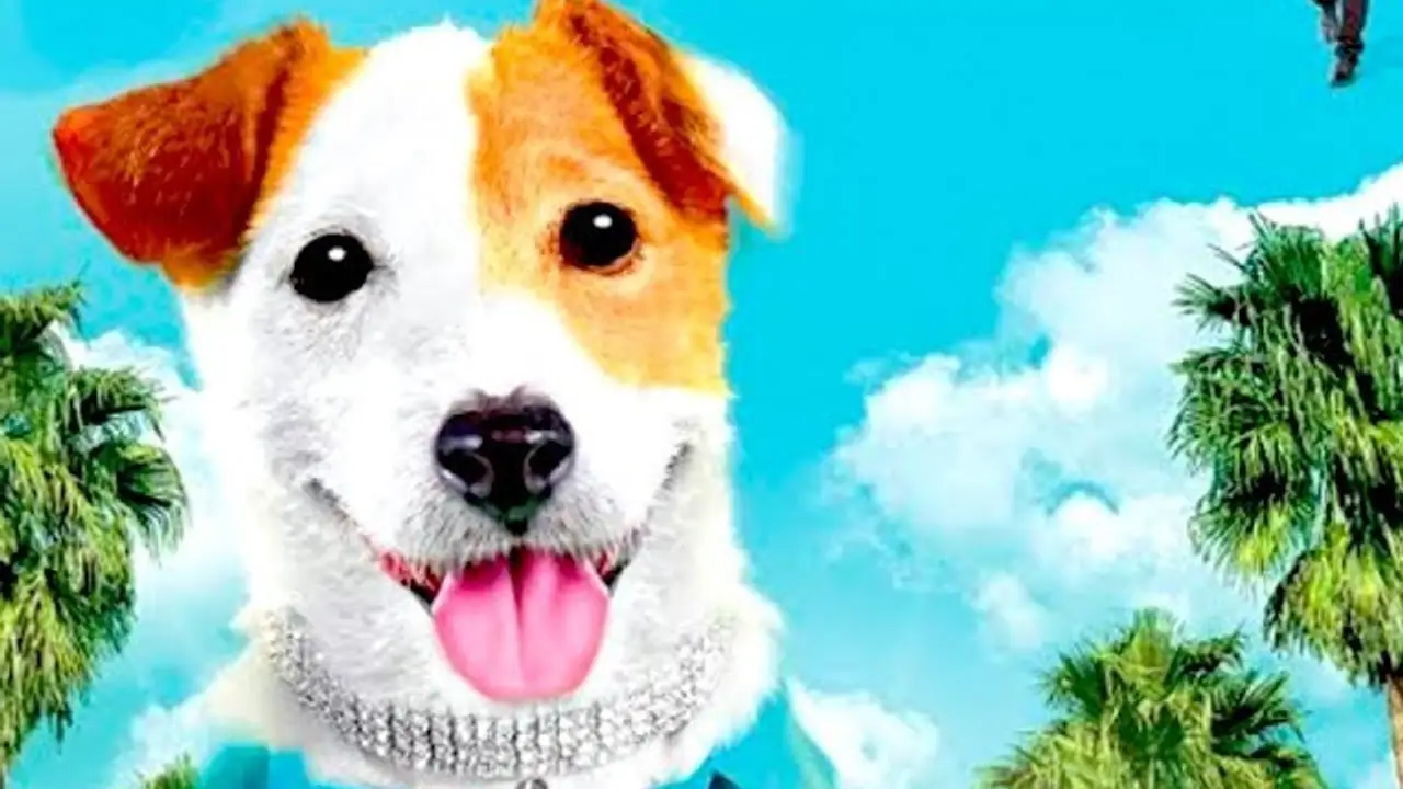 Millionaire Dog — trailer
