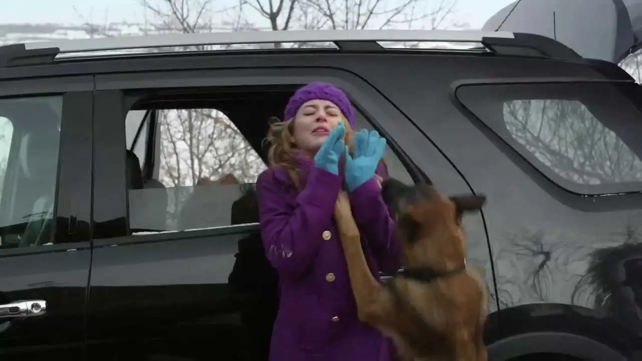 Home Alone Dogs — tráiler