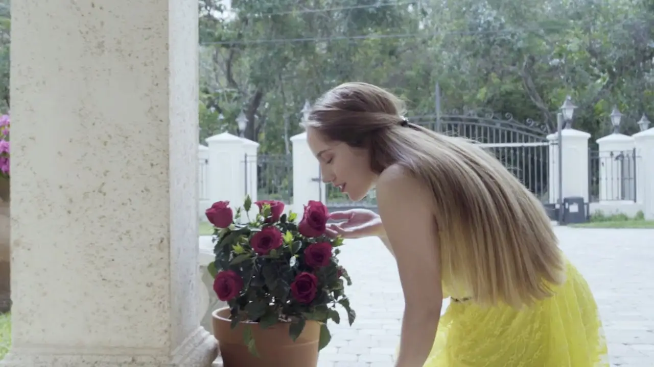 Cinderella: The Enchanted Beginning — trailer