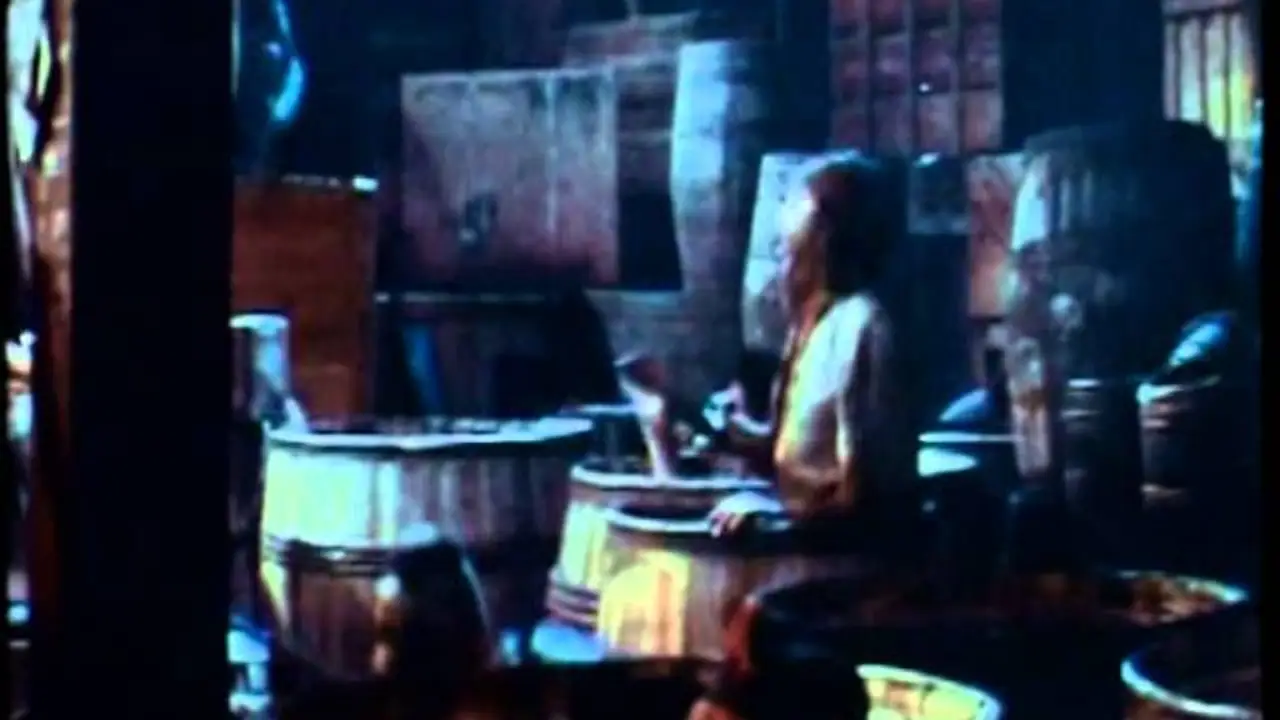 Return to Treasure Island — trailer