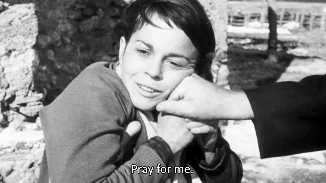 Il bidone — trailer