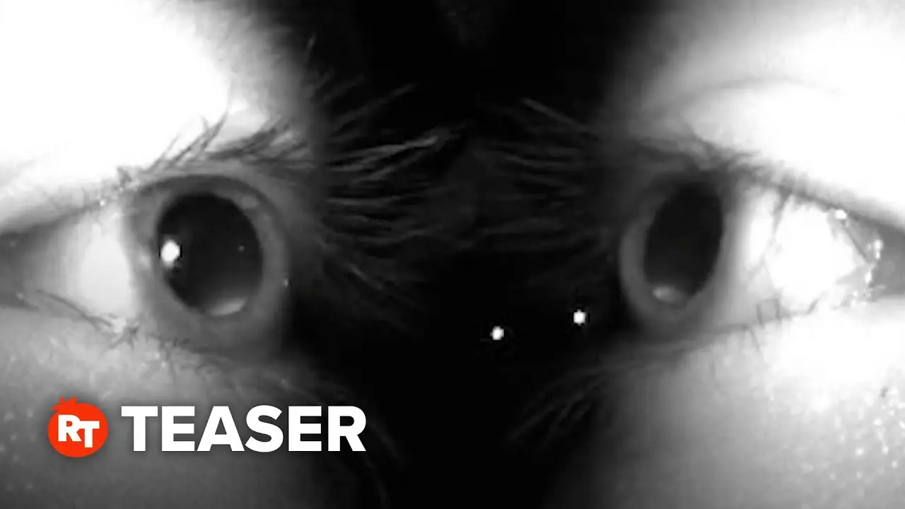 The pupil — trailer