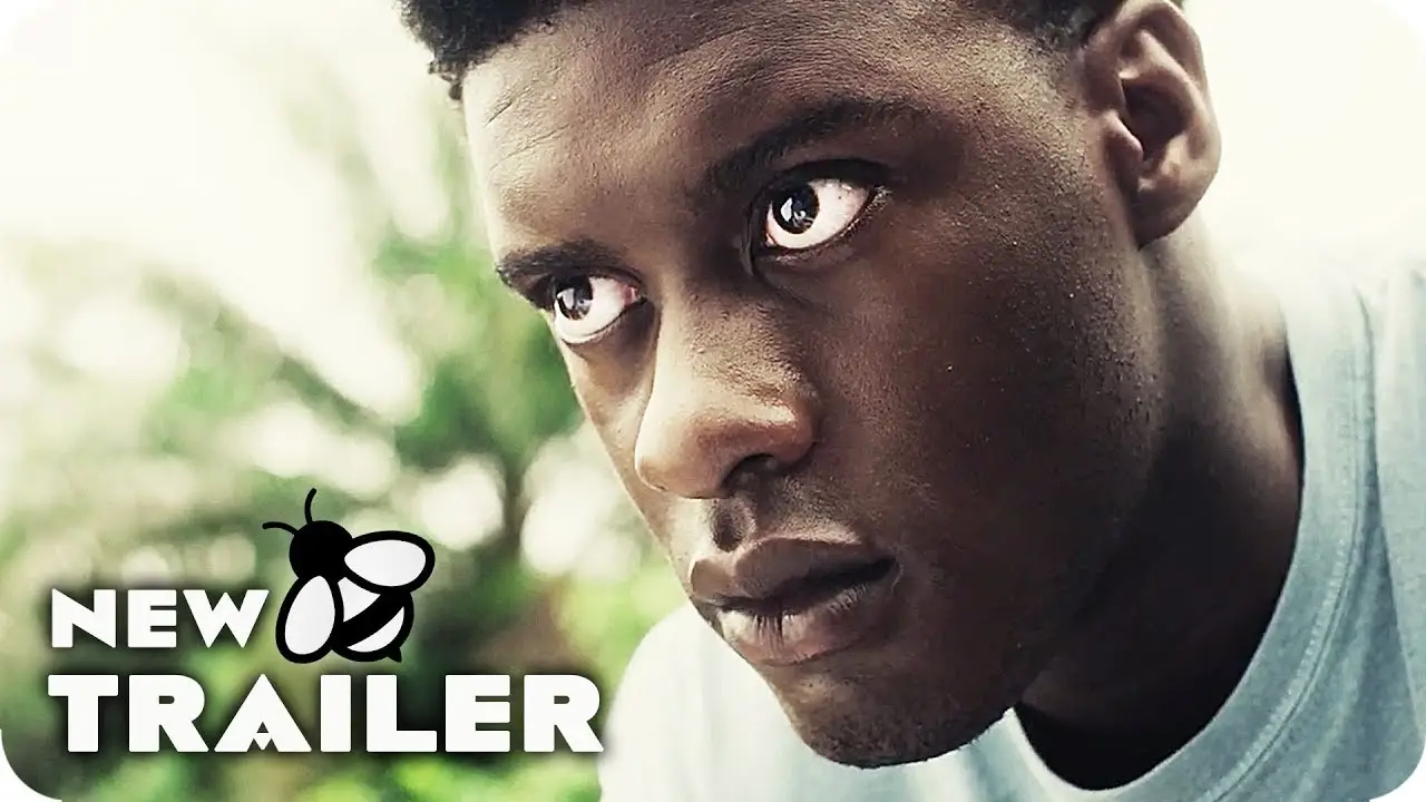 The Last Tree — trailer