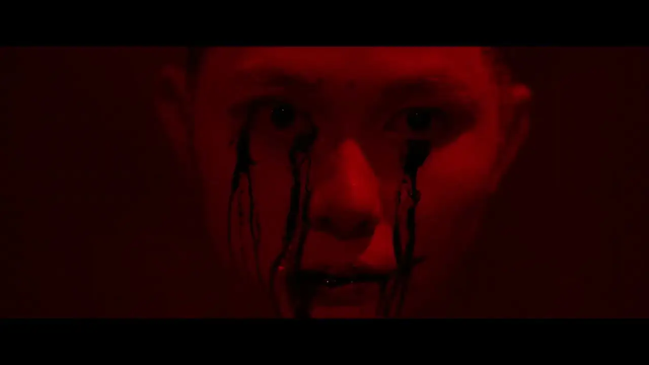 The Butterfly House — trailer