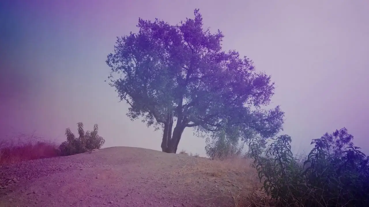 Pastel — trailer