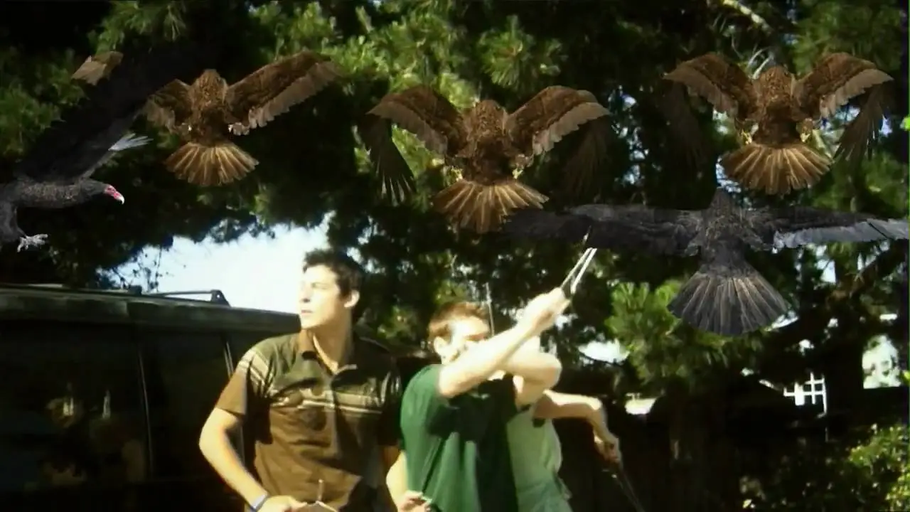 Birdemic: Shock and Terror — tráiler