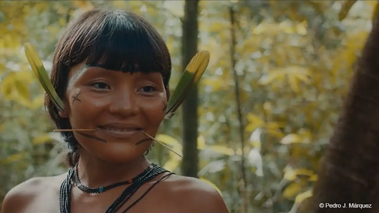 The Last Forest — трейлер