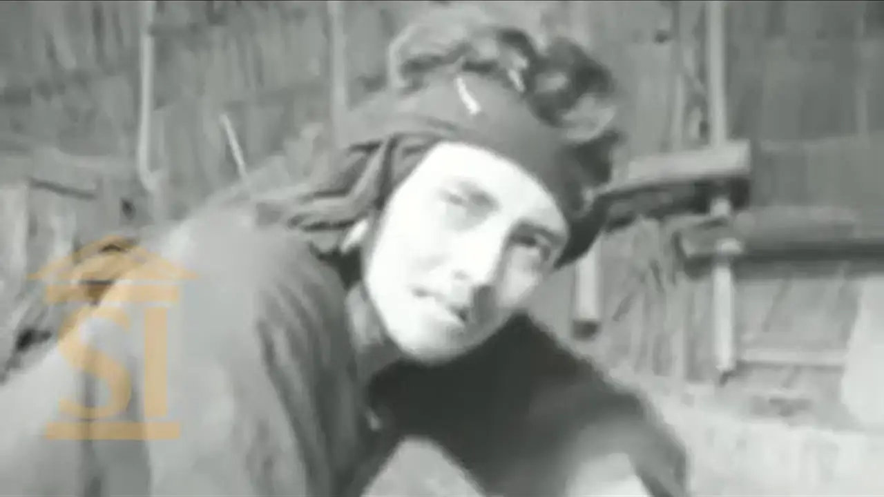 Tiger from Tjampa — trailer