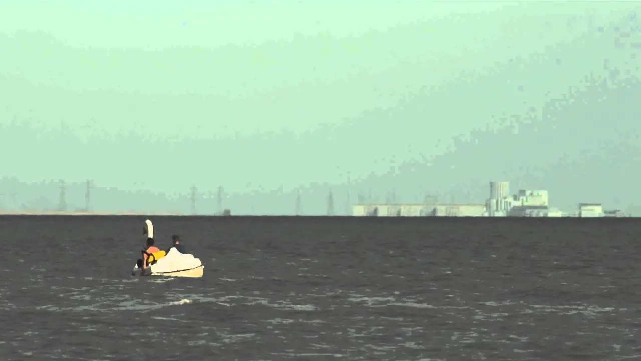 Swandown — trailer