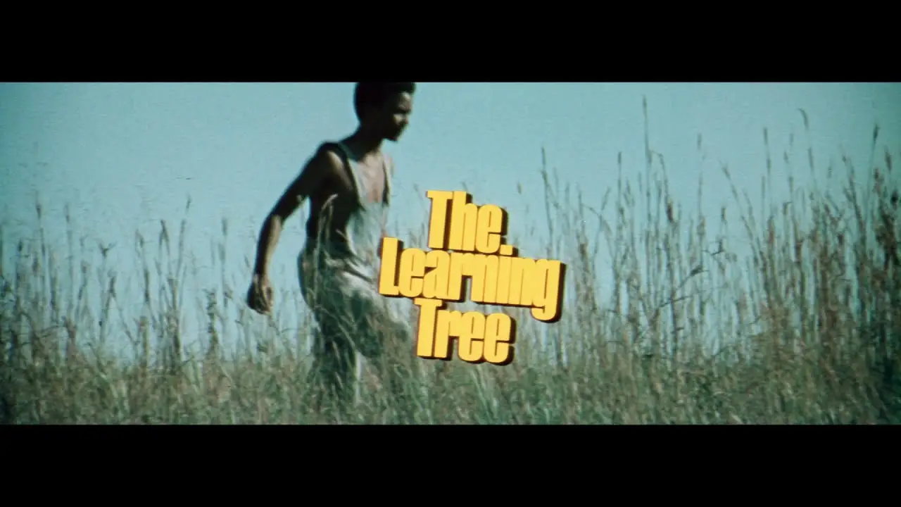 The Learning Tree — trailer