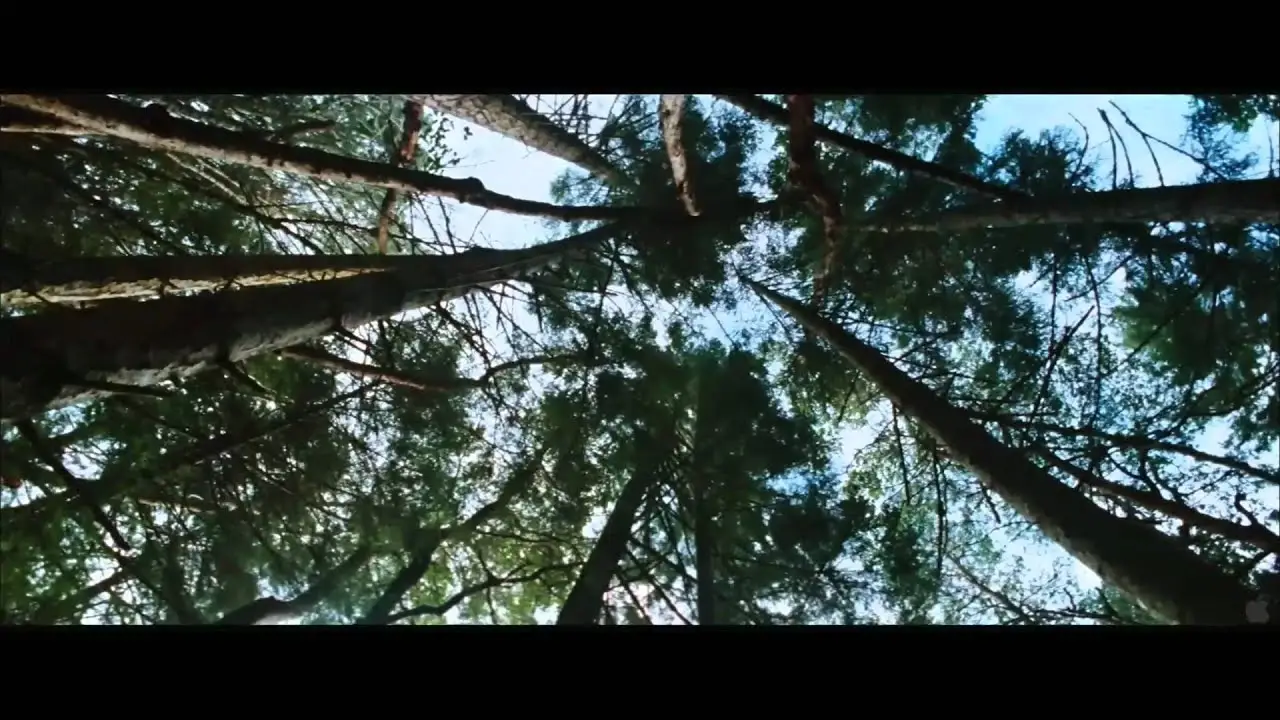 Wrecked — tráiler