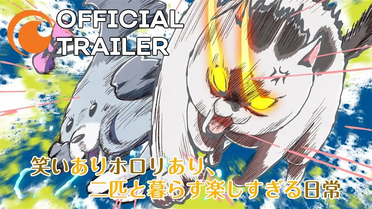 With a Dog AND a Cat, Every Day is Fun — trailer