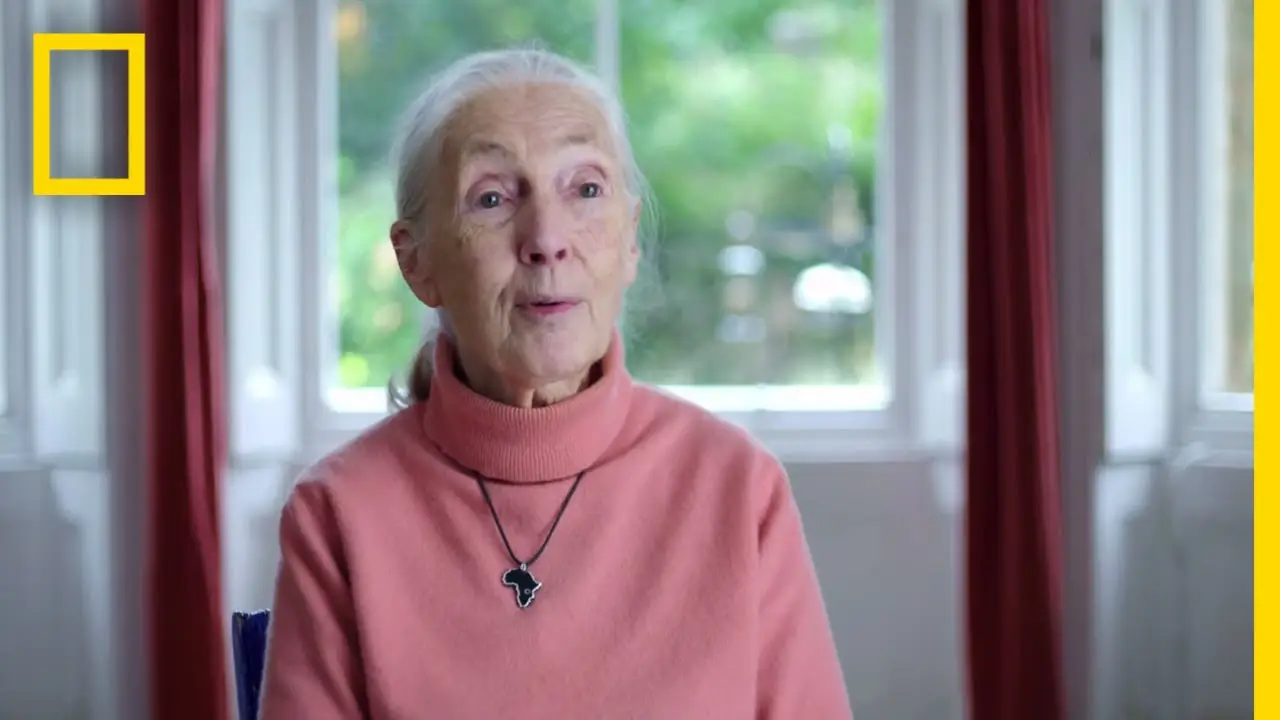 Jane Goodall: The Hope — trailer