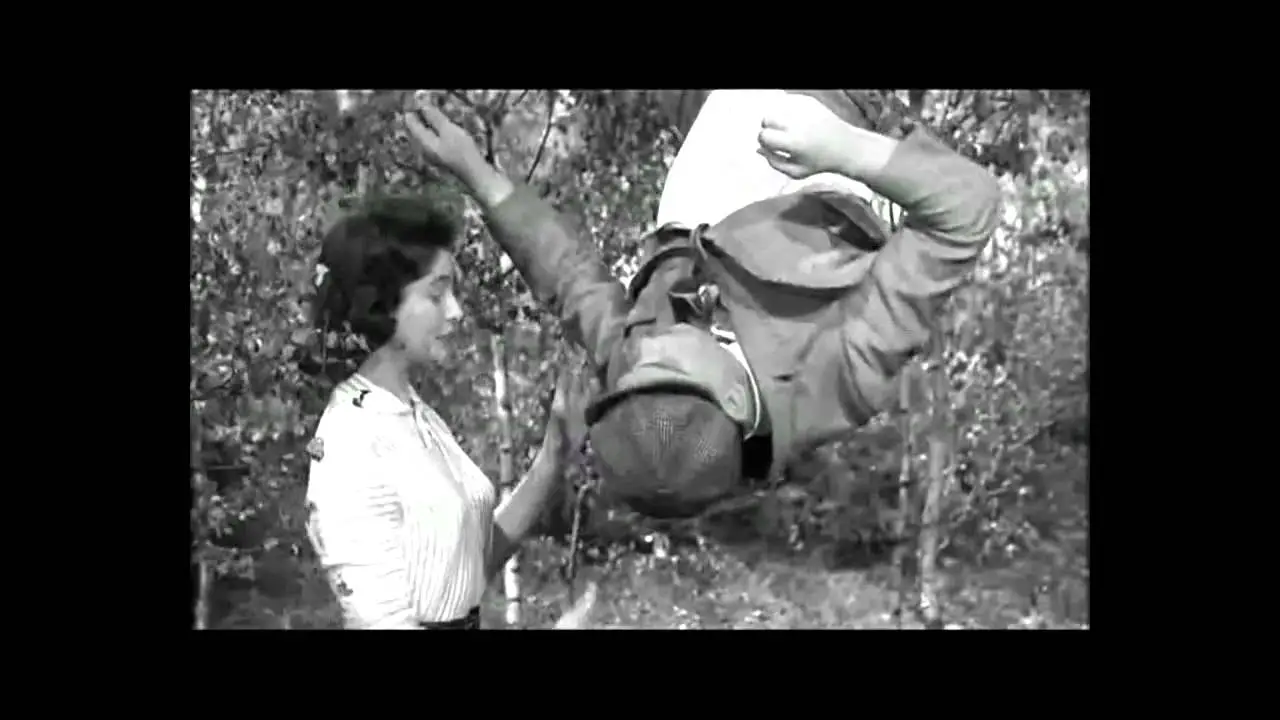 Esta perra vida — tráiler