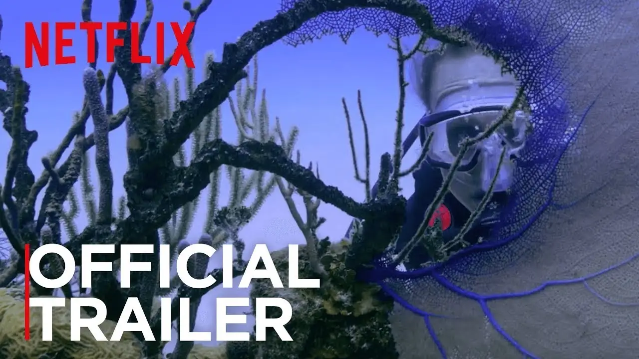 Chasing Coral — trailer