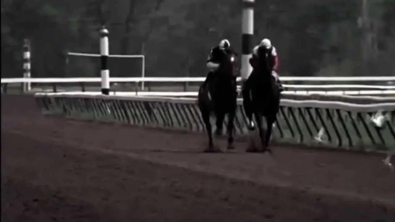 Ruffian — trailer