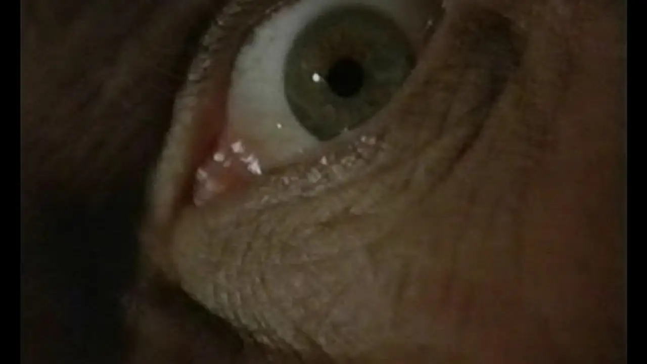 Ripper Man — trailer