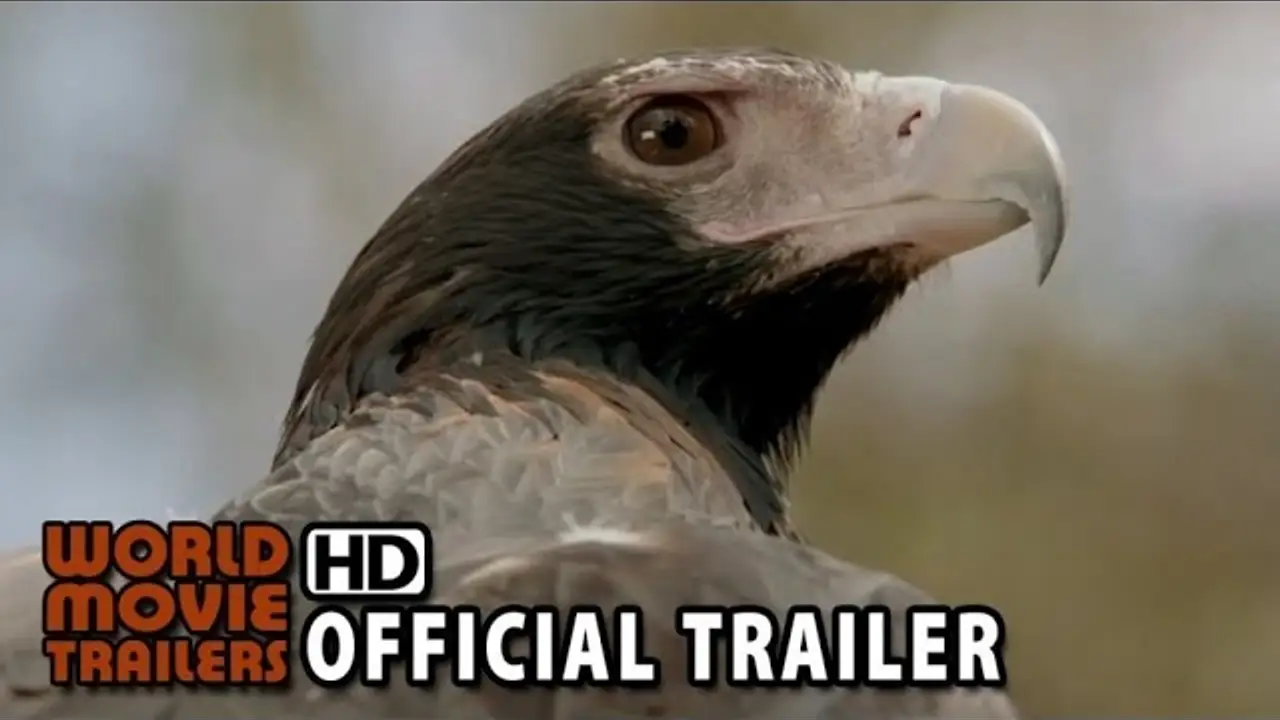 Healing — trailer