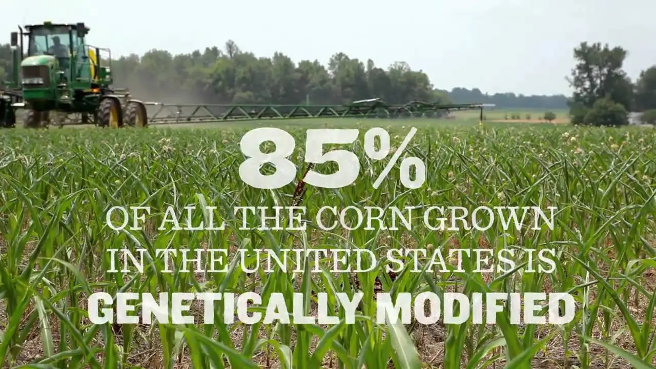 GMO OMG — trailer