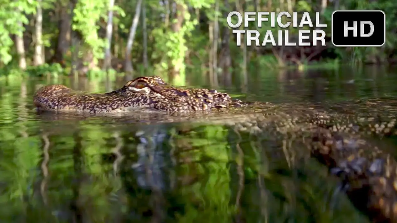 Hurricane on the Bayou — trailer