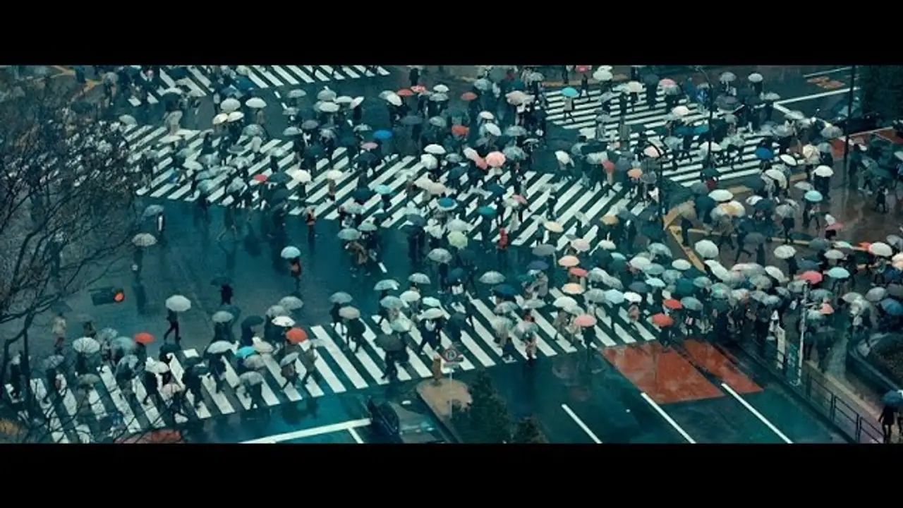 Delicate Balance — trailer