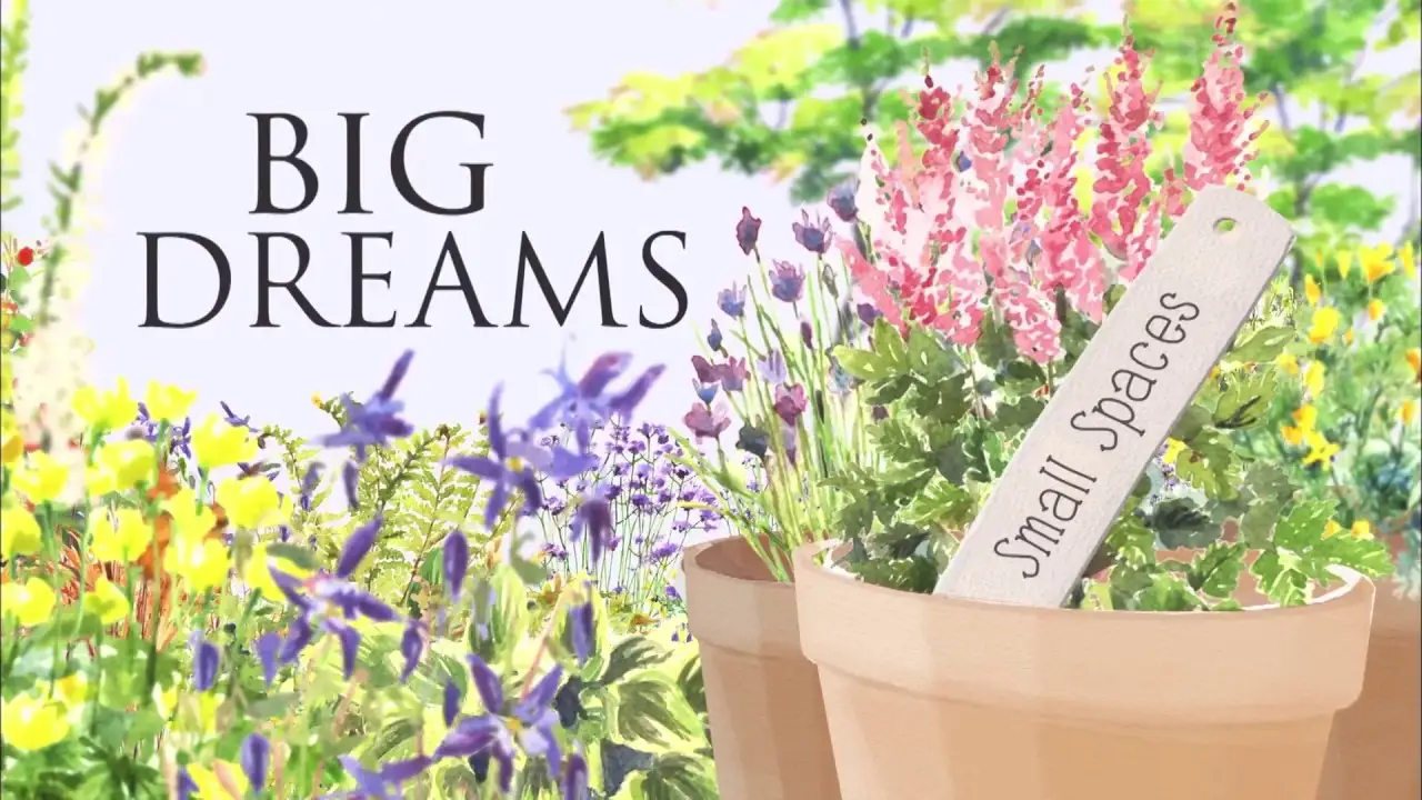 Big Dreams Small Spaces — tráiler