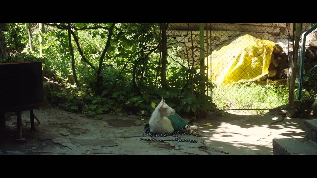 Zhaleika — trailer