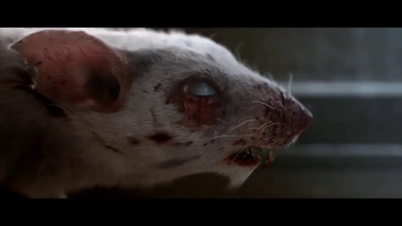 Quenottes — trailer