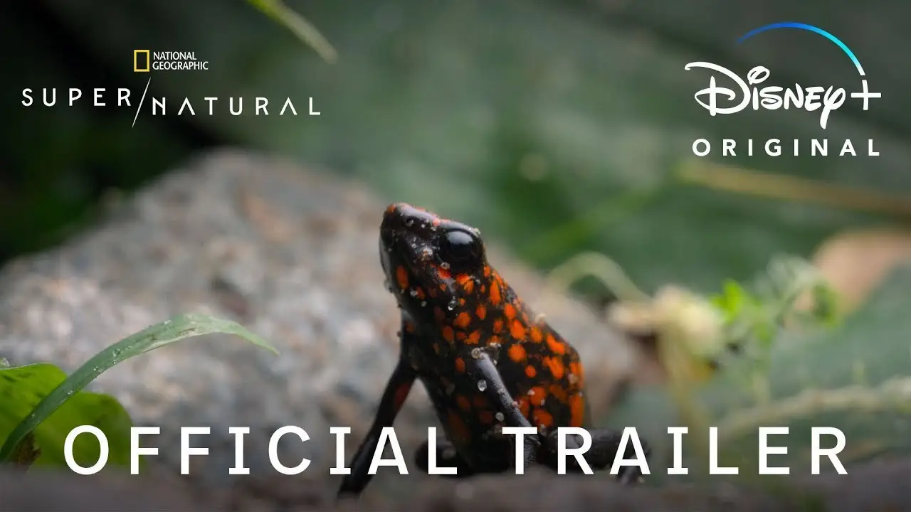 Super Natural — трейлер