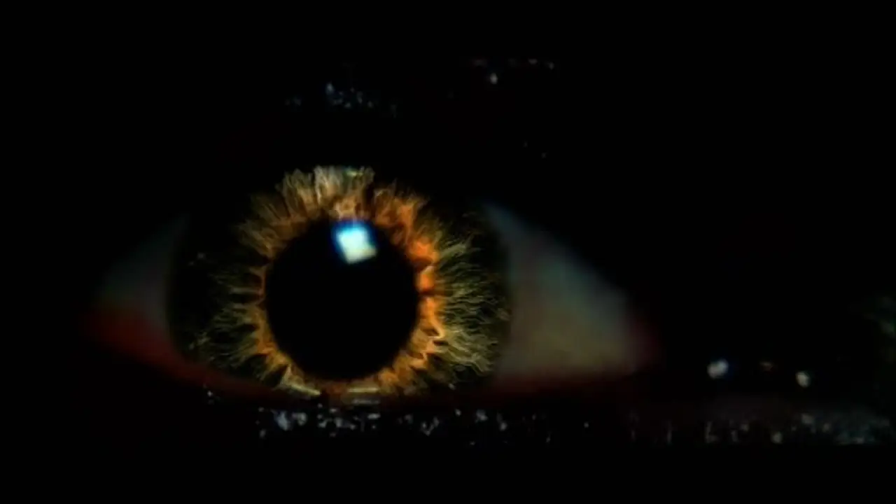 Blackout — trailer