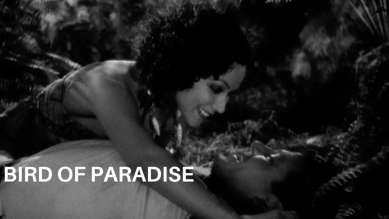Ave del paraíso — tráiler