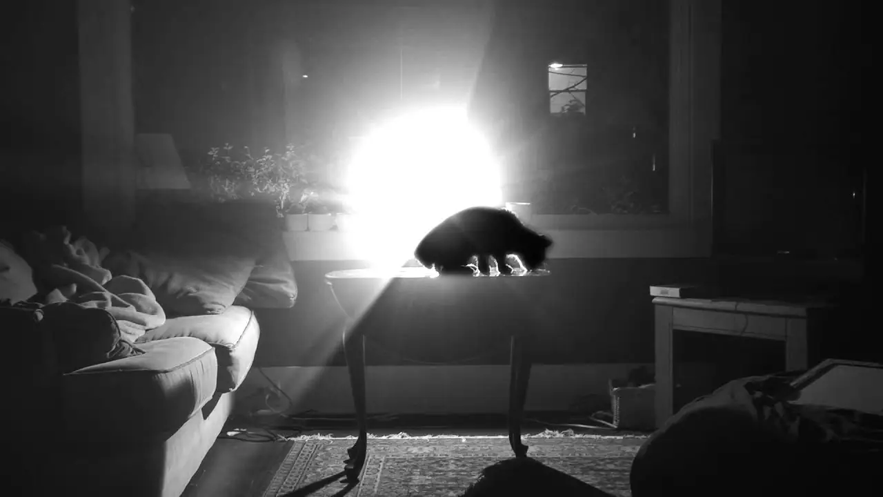 Homewrecker — trailer