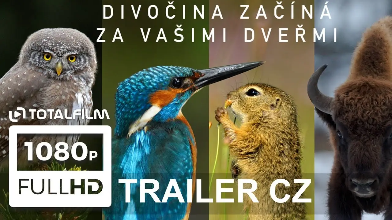 Planet Czechia — trailer