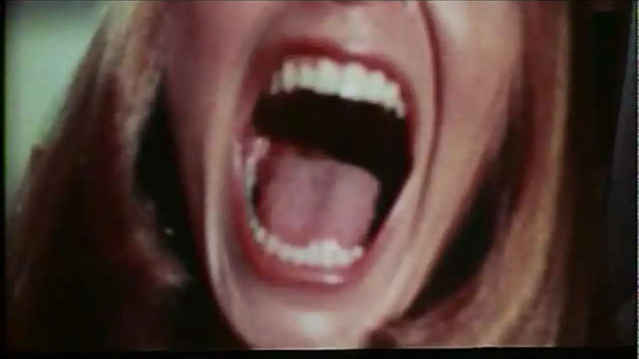 The Basement — trailer