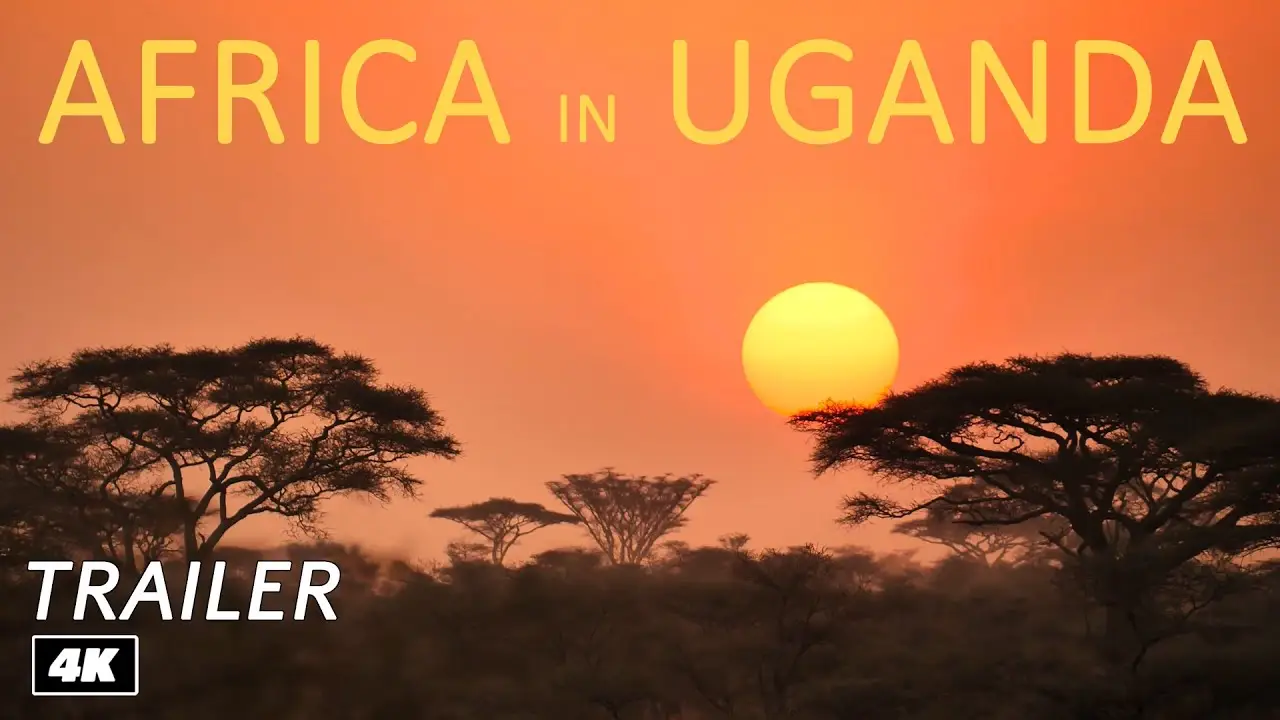 Africa — trailer