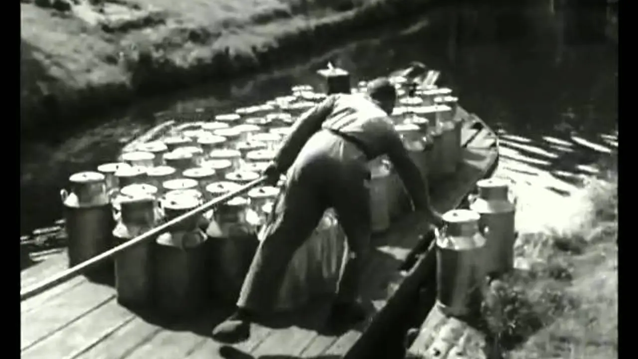Fanfare — trailer
