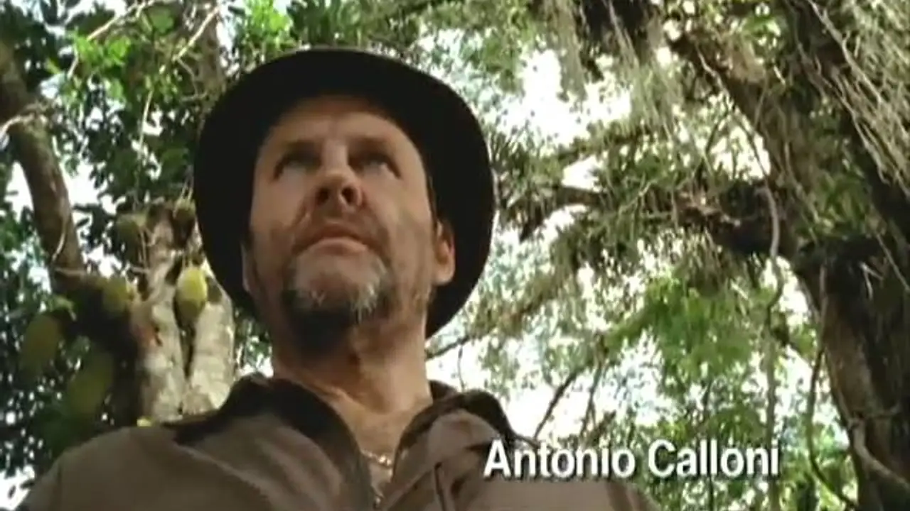 Anjos do Sol — trailer