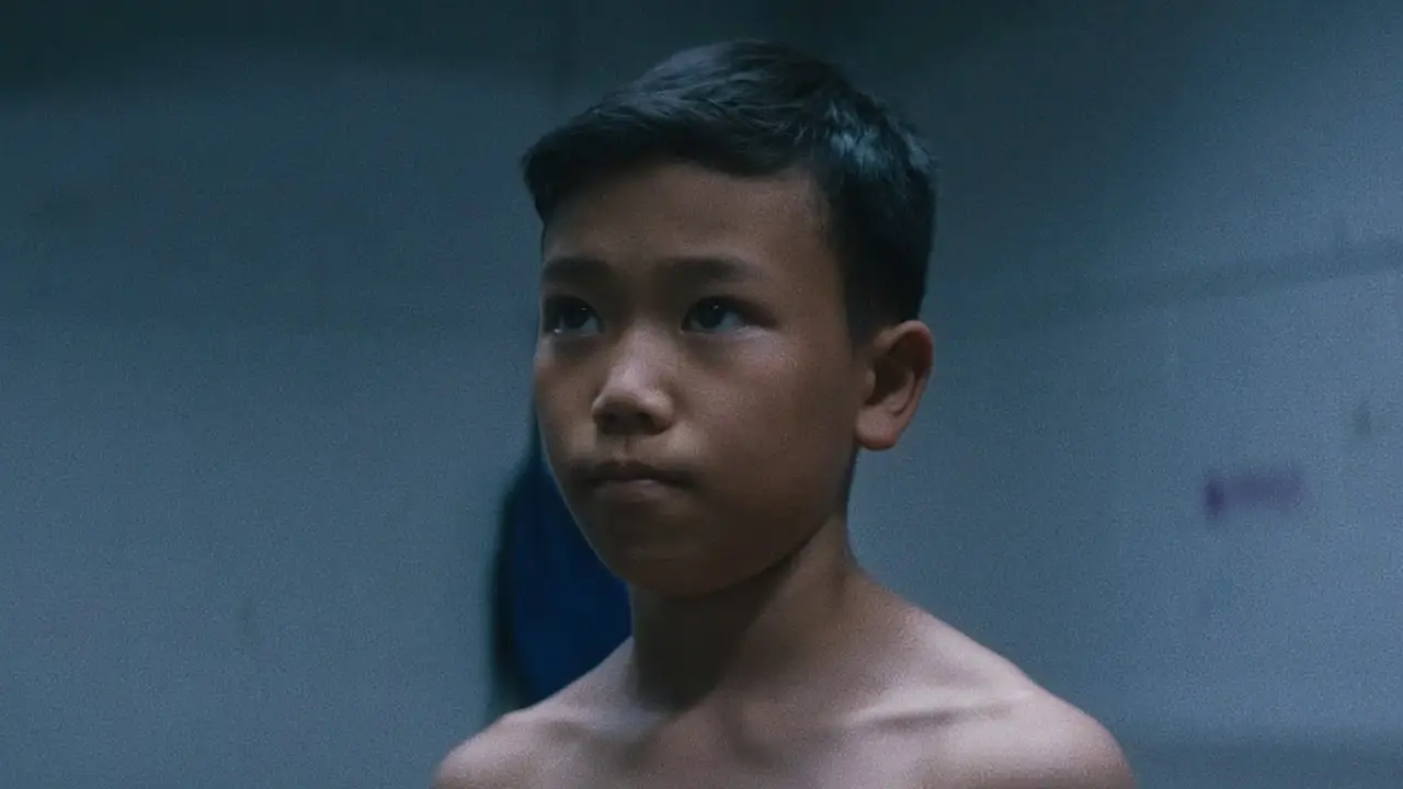 Pommel — trailer