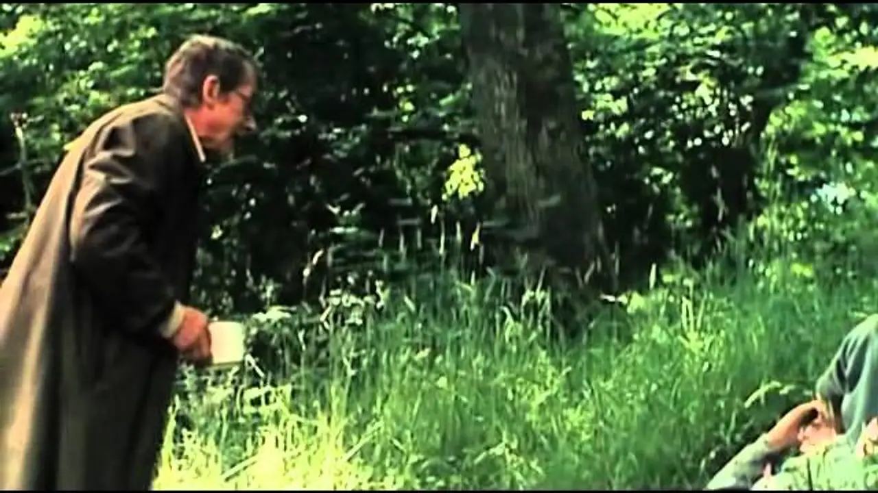 Animals — trailer