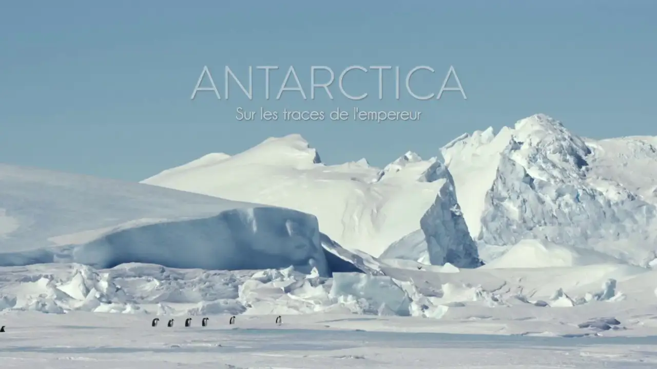 Antarctica: Following the Emperor's Paths — трейлер